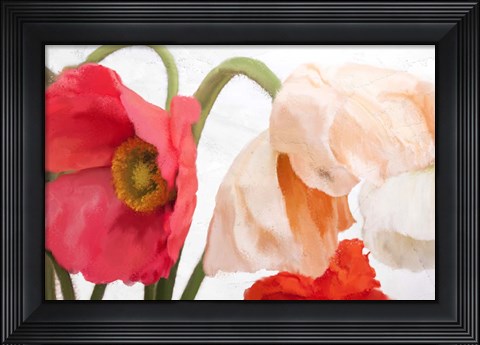 Framed Poppies Print