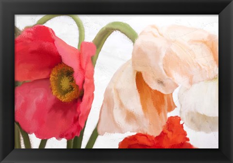 Framed Poppies Print