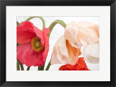 Framed Poppies Print