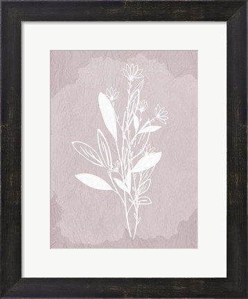 Framed Floral Sketch 2 Print