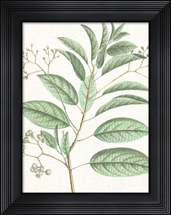 Framed Branch 1 Print