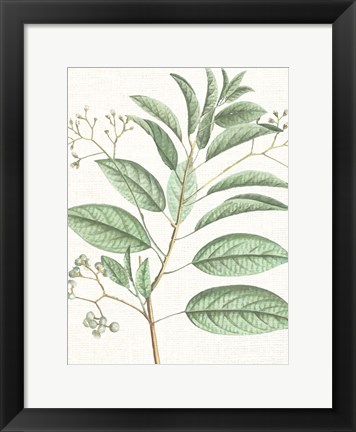 Framed Branch 1 Print