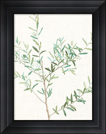 Framed Branch 2 Print