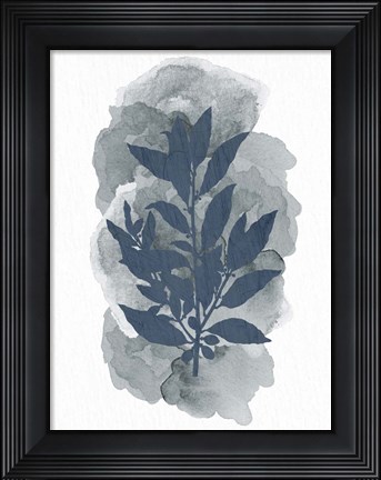 Framed Leaf Silhouette 1 Print