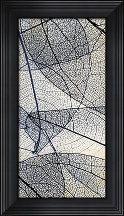 Framed Transparent 2 Print