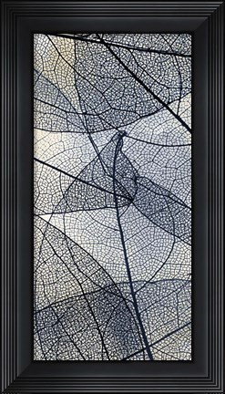 Framed Transparent 3 V5 Print