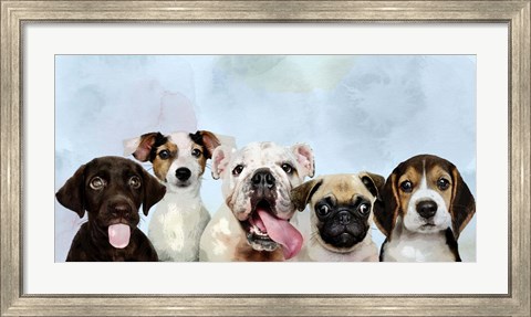 Framed Puppy Portrait Print