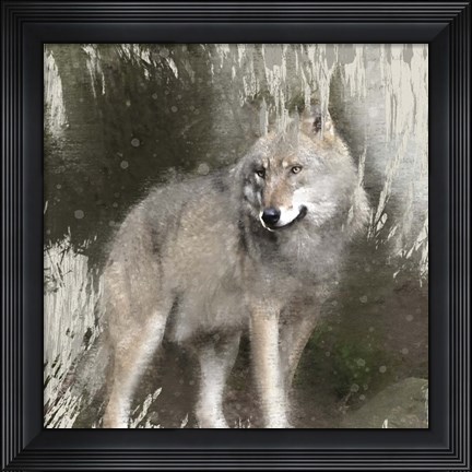 Framed Wildlife 3 Print