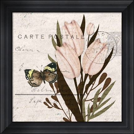 Framed Tulip Postcard 2 Print