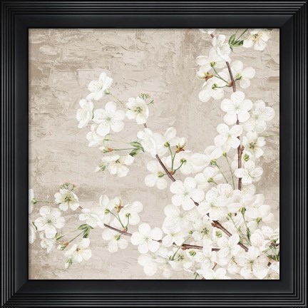 Framed Blossoms Print