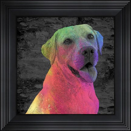 Framed Lab Print