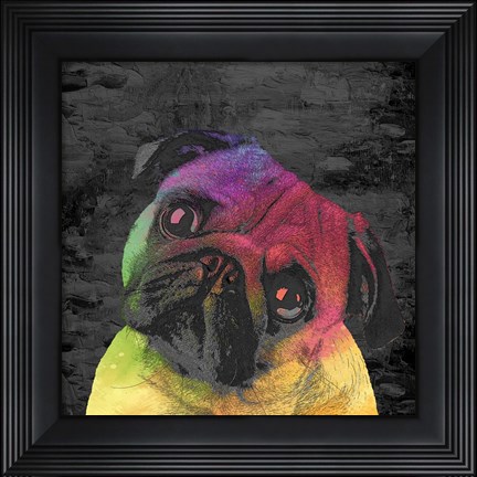 Framed Pug Print