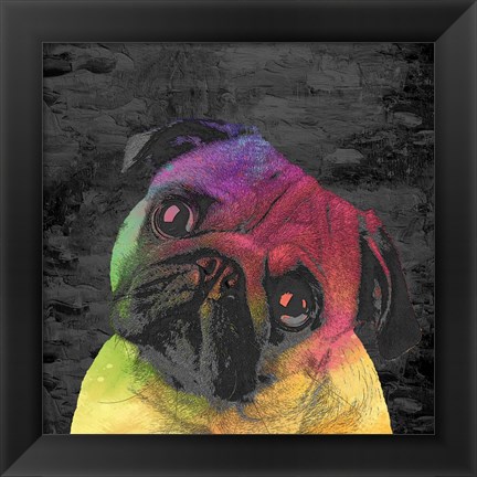 Framed Pug Print