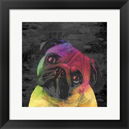 Framed Pug Print