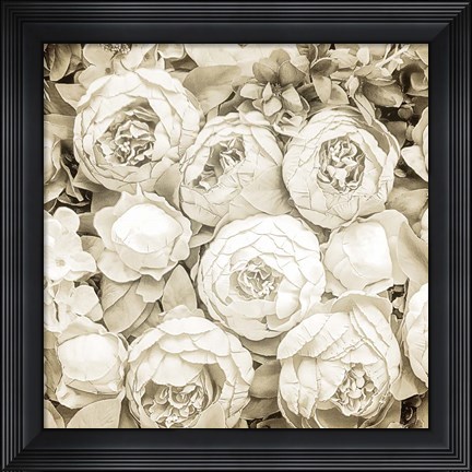 Framed Dried Roses Print