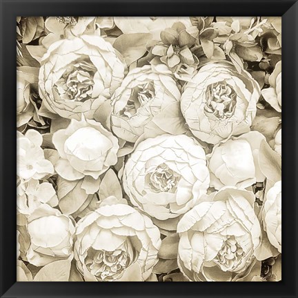 Framed Dried Roses Print