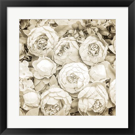 Framed Dried Roses Print