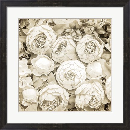 Framed Dried Roses Print