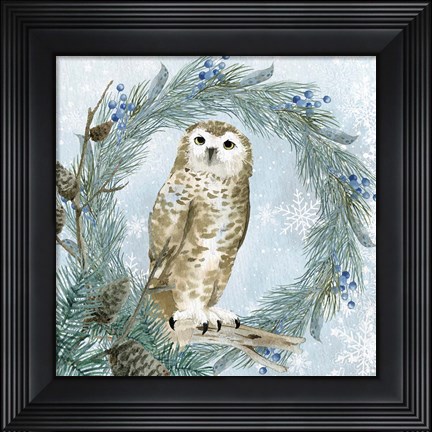 Framed Winter Owl 3 Print