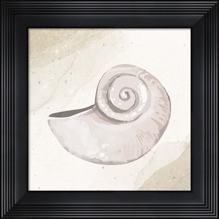 Framed Calming Shell 1 Print