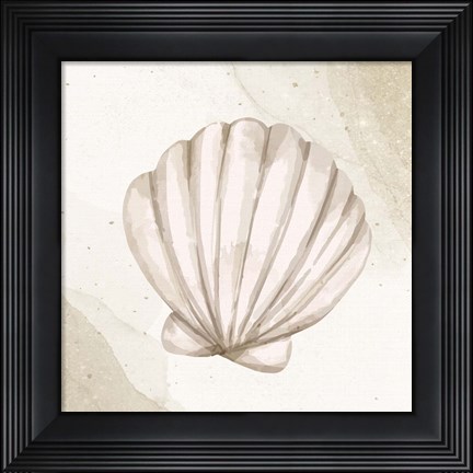Framed Calming Shell 2 Print