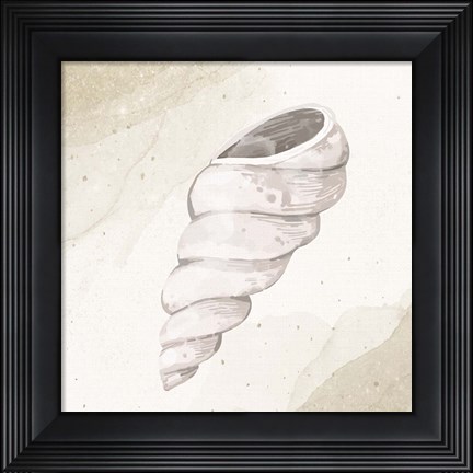 Framed Calming Shell 3 Print