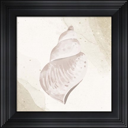 Framed Calming Shell 4 Print