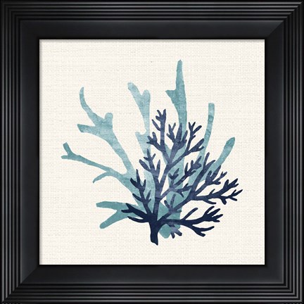 Framed Coral Shades 1 Print