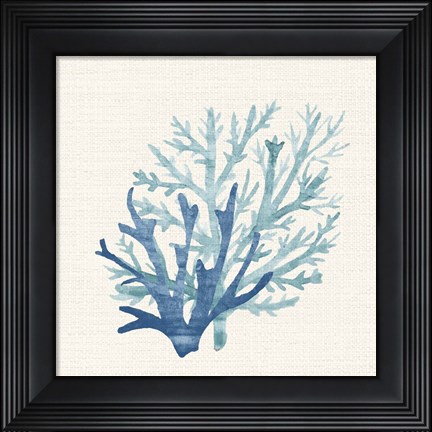 Framed Coral Shades 2 Print