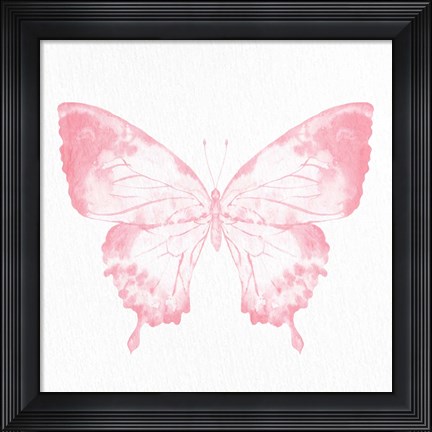 Framed Butterfly Soar 2 Print