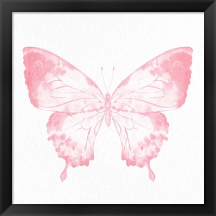 Framed Butterfly Soar 2 Print