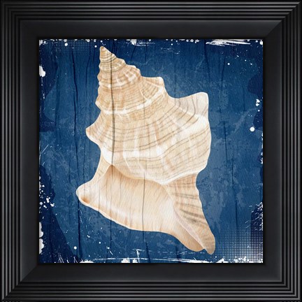 Framed Coastal Shells 1 Print