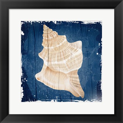 Framed Coastal Shells 1 Print