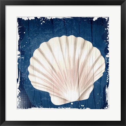 Framed Coastal Shells 2 Print