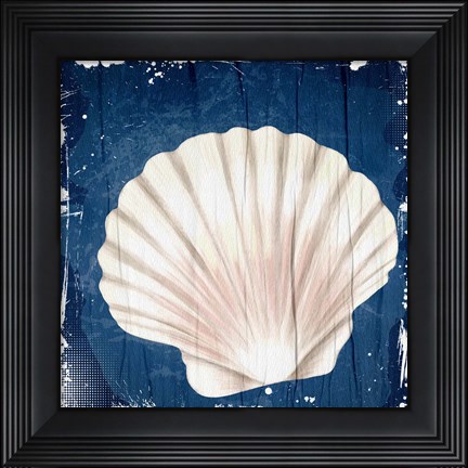 Framed Coastal Shells 2 Print