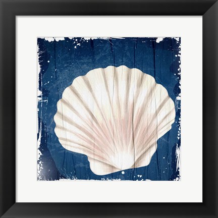 Framed Coastal Shells 2 Print