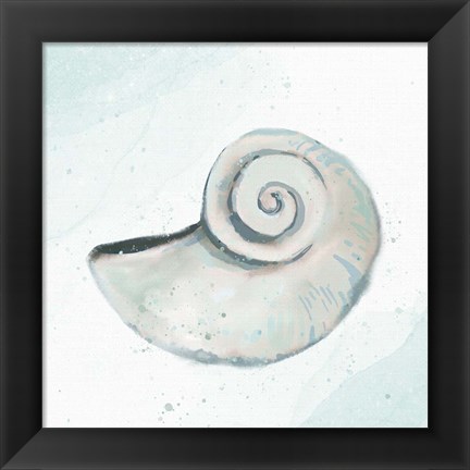 Framed Seashore Shell 1 Print