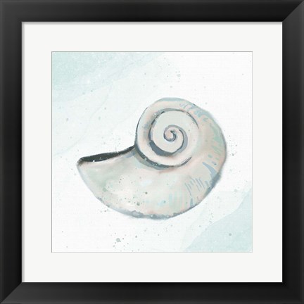 Framed Seashore Shell 1 Print