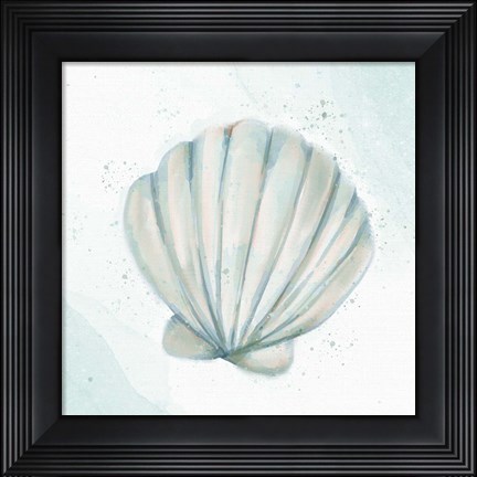 Framed Seashore Shell 2 Print