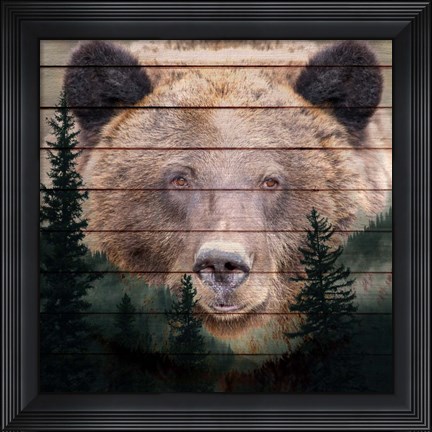 Framed Gaze Print
