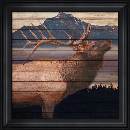 Framed King Print