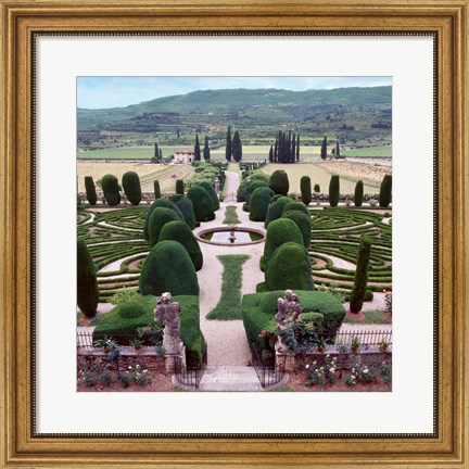 Framed Italia Gardens No. 12 Print