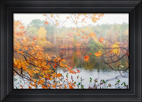 Framed Autumn Pond Print