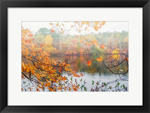 Framed Autumn Pond Print