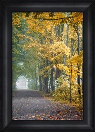 Framed Tunnel Through Misty Forest Print
