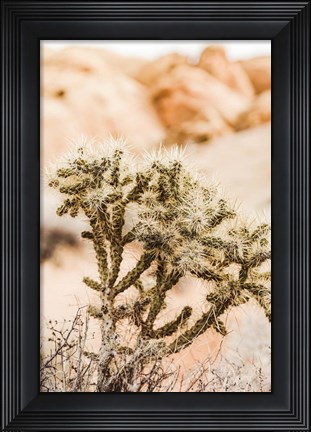 Framed Borjas Print