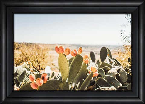 Framed Estero Print