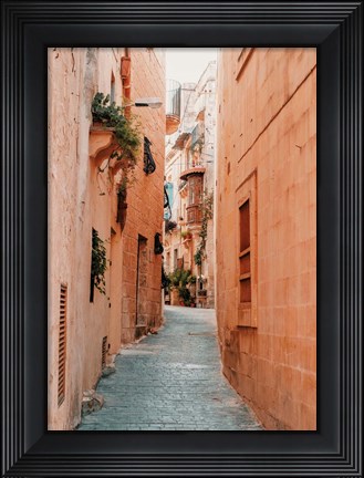 Framed Fes Print