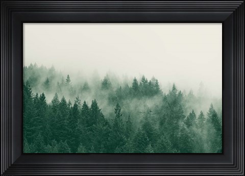 Framed Emerald Forest No. 1 Print