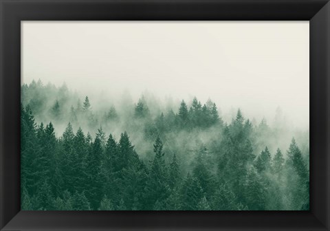 Framed Emerald Forest No. 1 Print